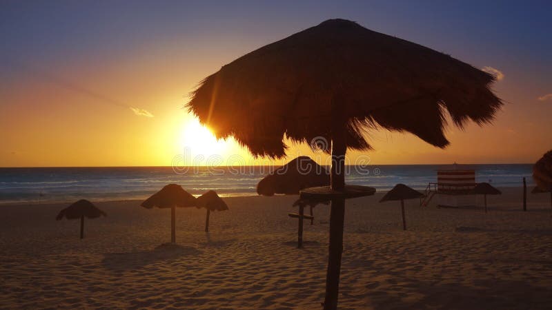 Het strand van Cancundelfines in Caraïbische Riviera Maya