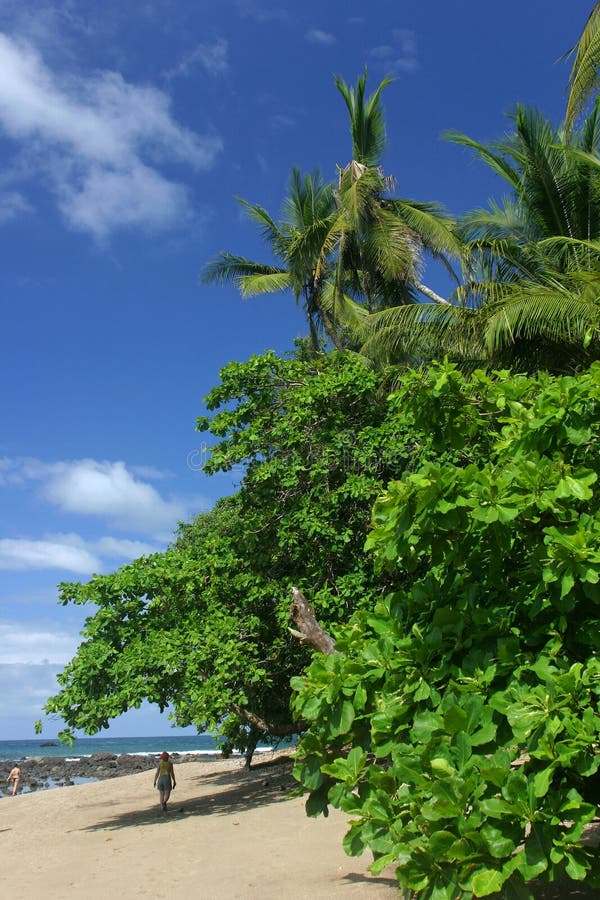 Het Strand van Corcovado stock afbeeldingen Het Strand van Corcovado stock afbeeldingen