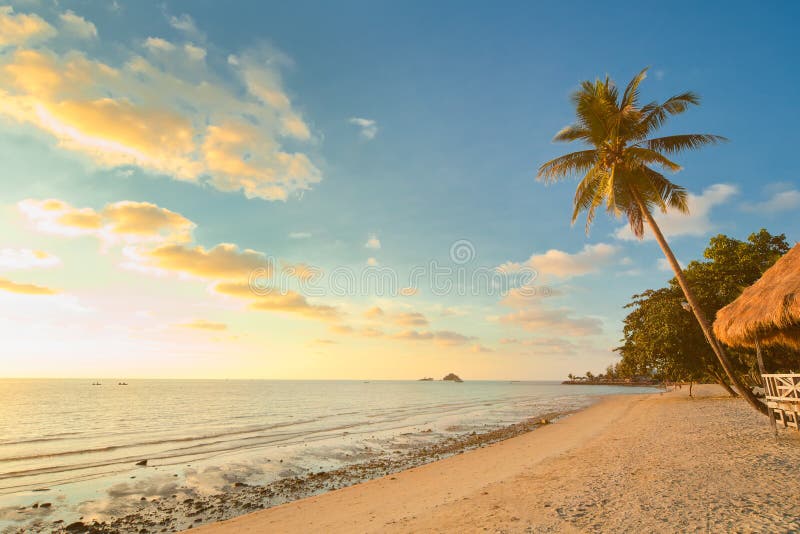 Het strand van de zonsondergang met palmen en bungalow