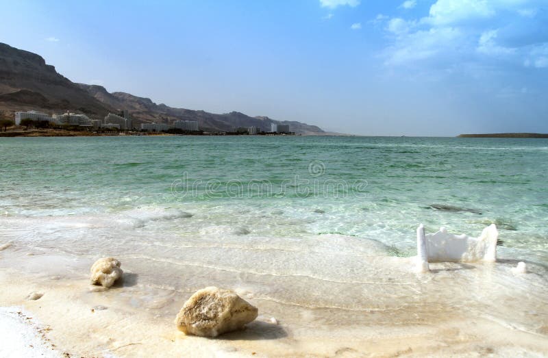 Het strand van het kristalzout op Dode Overzeese kust, Isra?l stock afbeelding Het strand van het kristalzout op Dode Overzeese kust, Isra?l stock afbeelding