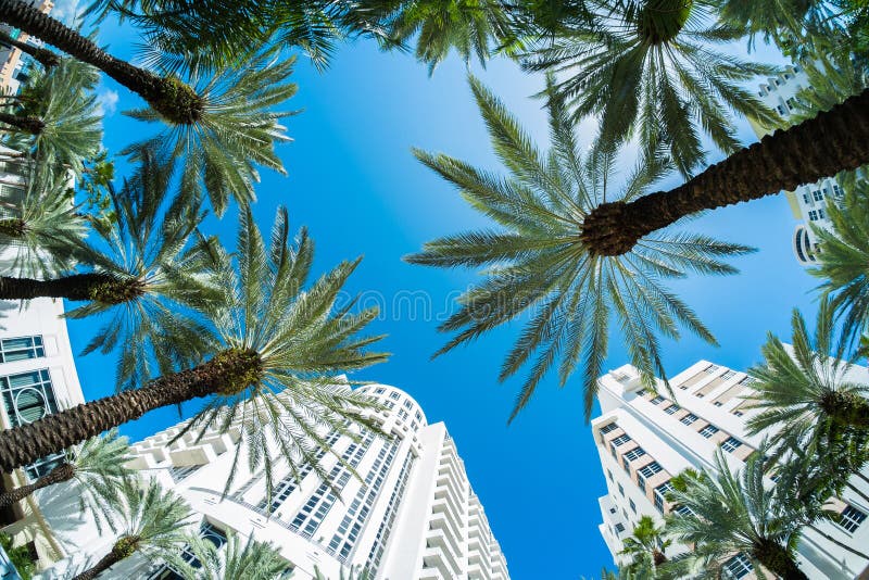 Het Strand van Miami stock foto's Het Strand van Miami stock foto's