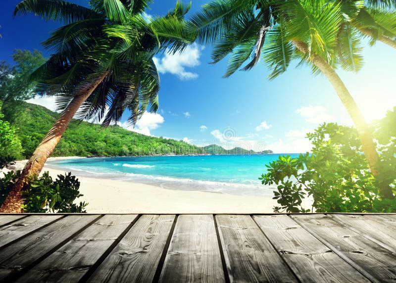 Het strand van Seychellen stock fotografie Het strand van Seychellen stock fotografie