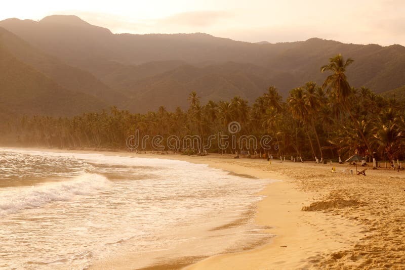 HET STRAND VAN VENEZUELA CHORONI VAN ZUID-AMERIKA royalty-vrije stock foto's HET STRAND VAN VENEZUELA CHORONI VAN ZUID-AMERIKA royalty-vrije stock foto's