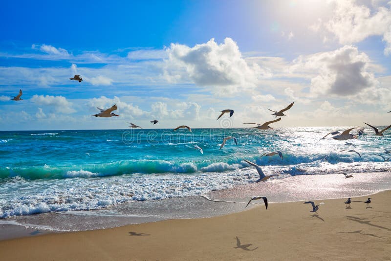 Het strand van zangerIsland bij Palm Beach Florida de V.S.