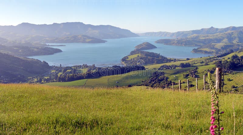 Het super Grote Akaroa-Panorama van de Haven Vroege Ochtend, Nieuw Zeeland royalty-vrije stock fotografie Het super Grote Akaroa-Panorama van de Haven Vroege Ochtend, Nieuw Zeeland royalty-vrije stock fotografie