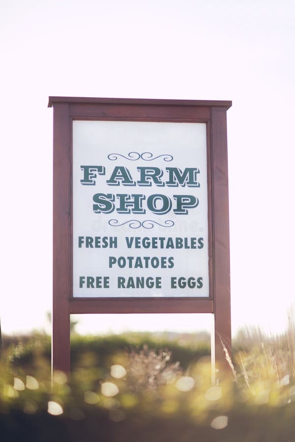 SWANTON, CA Oude Vrachtwagen Op Vertoning in Swanton Berry Farm, Een U