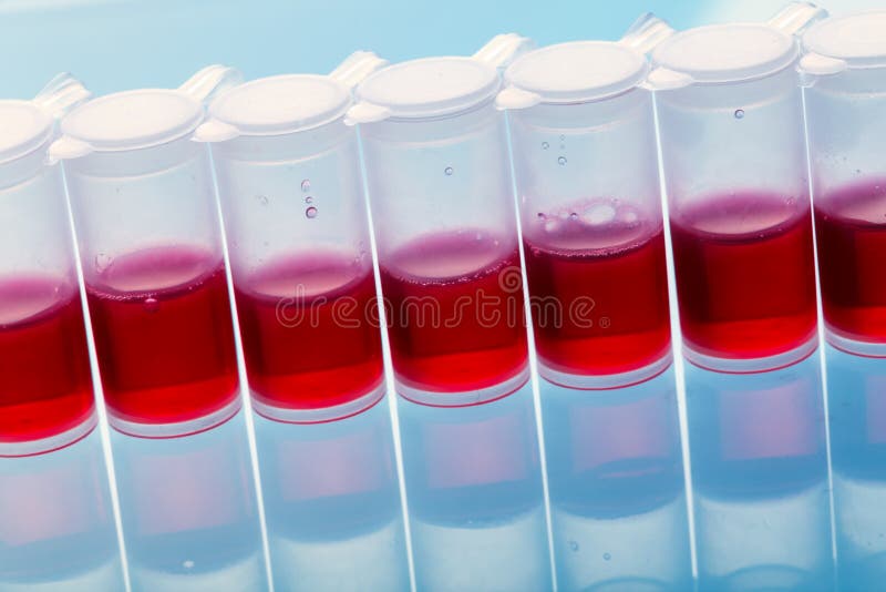 Het testen van de drug stock afbeeldingen Het testen van de drug stock afbeeldingen