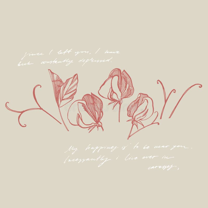 Het trekken en de schets van schatbloemen met lijn-kunst op witte achtergronden Botanische installatieillustratie handwritten stock illustratie Het trekken en de schets van schatbloemen met lijn-kunst op witte achtergronden Botanische installatieillustratie handwritten stock illustratie