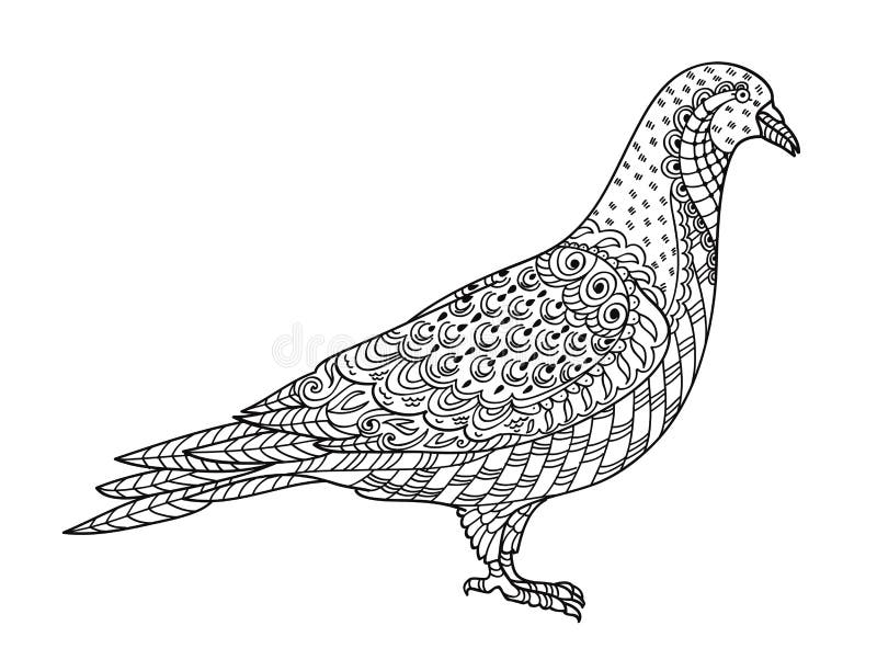 Het trekken van zentangle duif, voor het kleuren van boek voor volwassene of andere decoratie stock illustratie Het trekken van zentangle duif, voor het kleuren van boek voor volwassene of andere decoratie stock illustratie