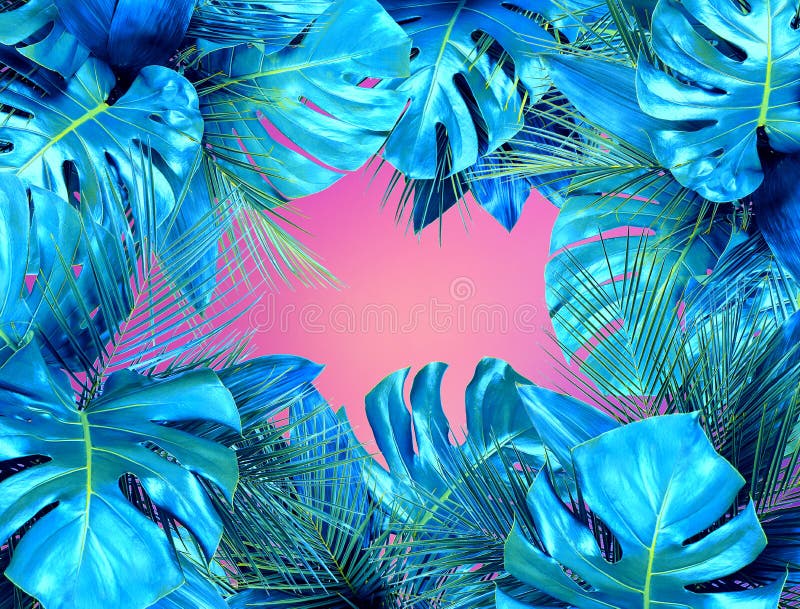 Het Doek Kleurde Roze Het in Turkoois Kleurde Dicht Omhoog Van Diverse Tropische Bladeren Op