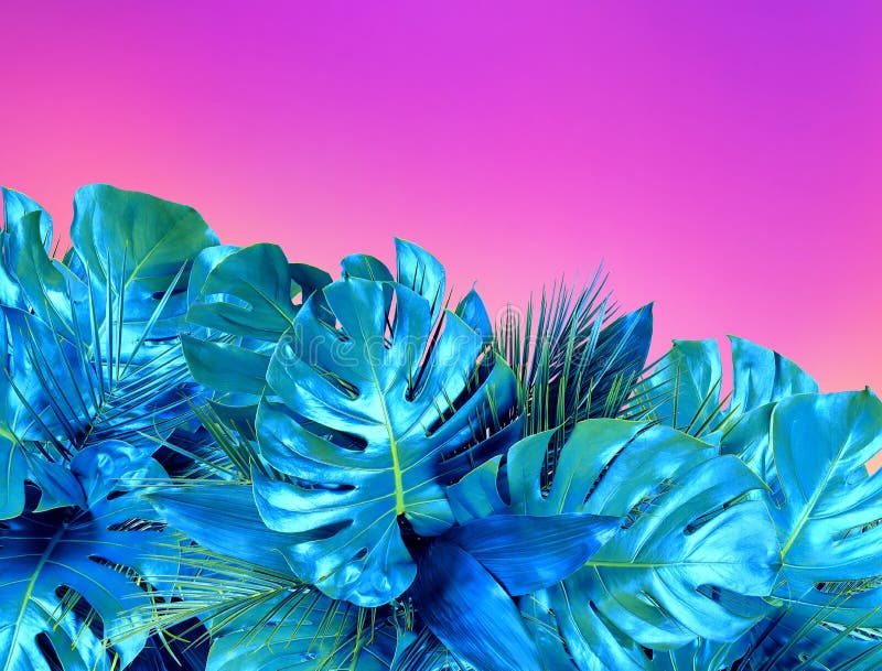 Het Doek Kleurde Roze Het in Turkoois Kleurde Dicht Omhoog Van Diverse Tropische Bladeren Op