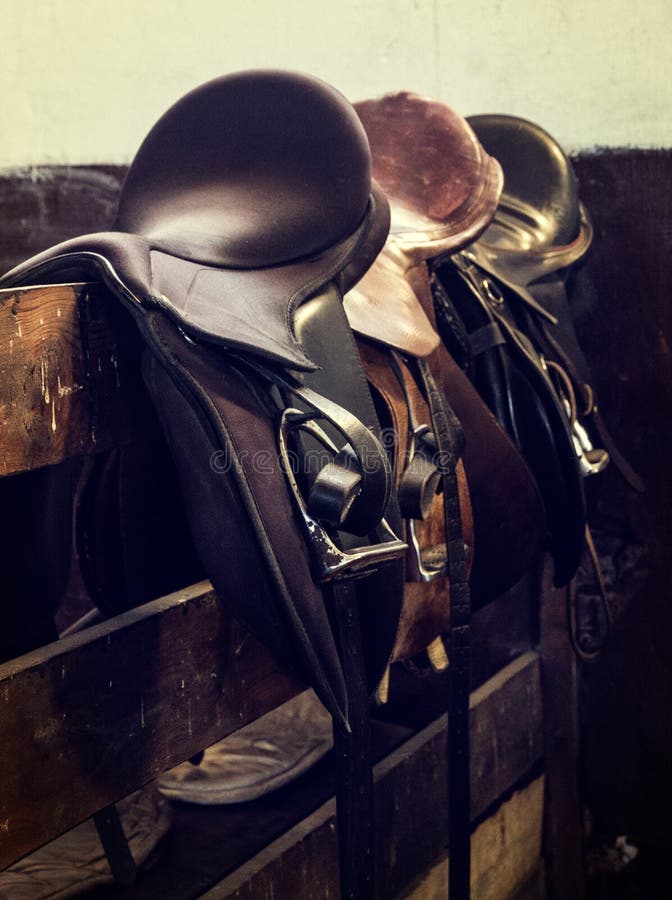Het uitstekende paard van het leerzadel stock foto's Het uitstekende paard van het leerzadel stock foto's
