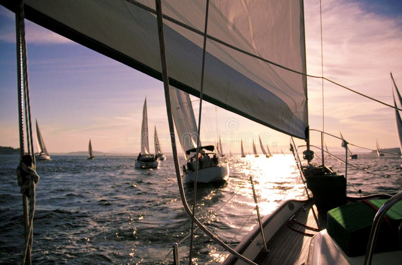 Het varen aan de Horizon stock fotografie Het varen aan de Horizon stock fotografie