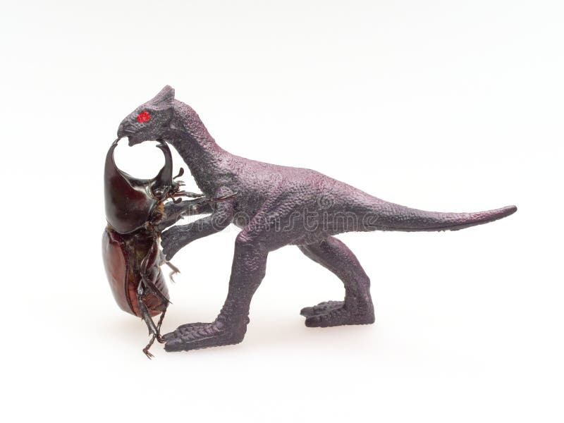 Het vechten of rinoceroskever het vechten met zwarte die stuk speelgoed dinosaurus op witte achtergrond wordt geïsoleerd royalty-vrije stock foto Het vechten of rinoceroskever het vechten met zwarte die stuk speelgoed dinosaurus op witte achtergrond wordt geïsoleerd royalty-vrije stock foto