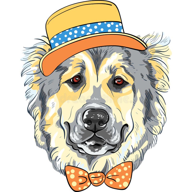 Het vectorras van Dog van de hond Kaukasische Herder in hoed en vlinderdas