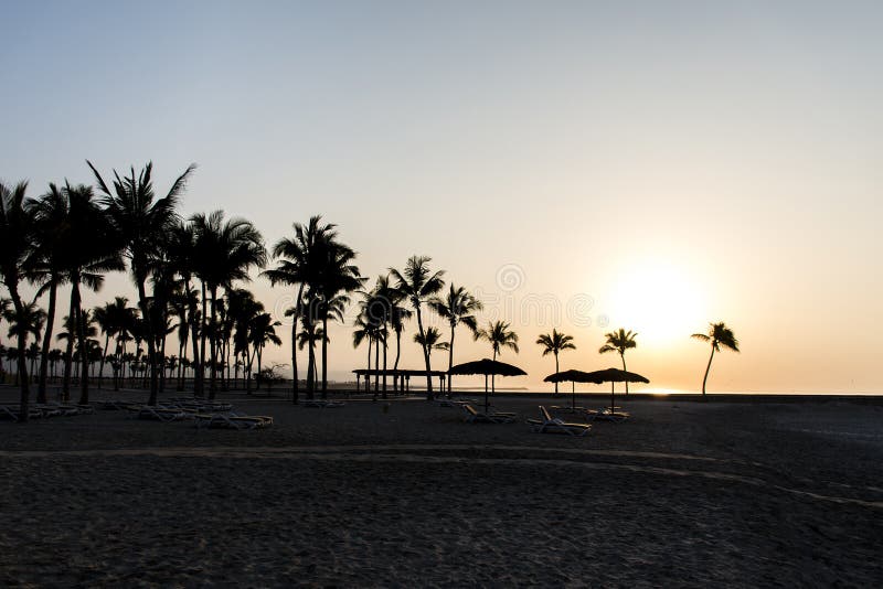Amazing Sunset palms sun lounger at beach Salalah Oman 3. Amazing Sunset palms sun lounger at beach Salalah Oman 3