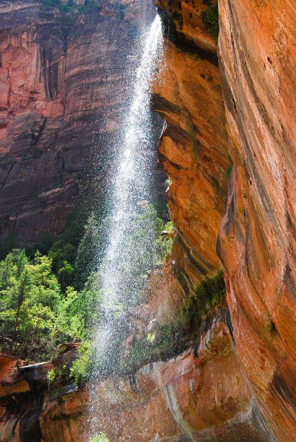 Het verfrissen van natuurlijke de lenteswaterval op de Landende sleep van de Engel MT Zion, Nationaal Utah royalty-vrije stock foto's Het verfrissen van natuurlijke de lenteswaterval op de Landende sleep van de Engel MT Zion, Nationaal Utah royalty-vrije stock foto's