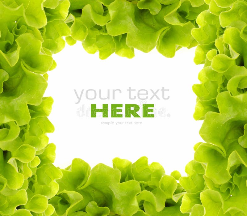 Het verse Groene frame van de Salade royalty-vrije stock afbeeldingen Het verse Groene frame van de Salade royalty-vrije stock afbeeldingen