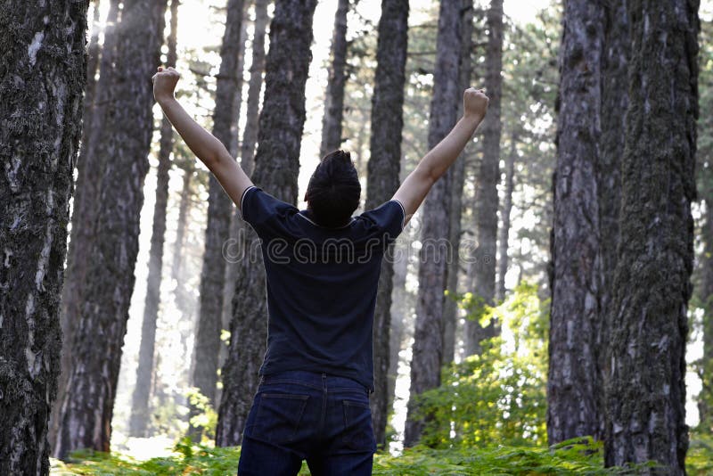 Het vieren van de mens met wapens die in bos worden opgeheven royalty-vrije stock fotografie Het vieren van de mens met wapens die in bos worden opgeheven royalty-vrije stock fotografie