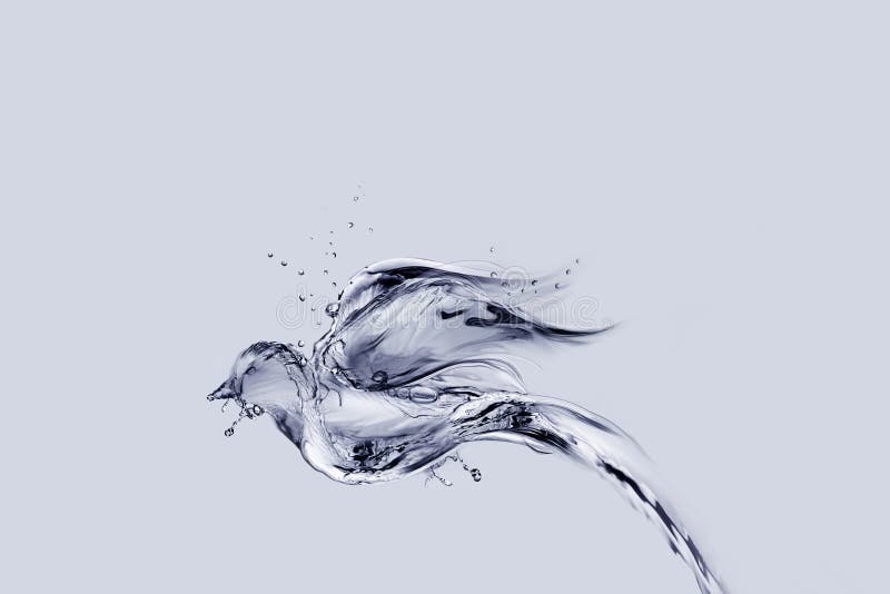 Het Vliegen van de watervogel royalty-vrije stock afbeelding Het Vliegen van de watervogel royalty-vrije stock afbeelding