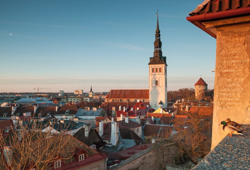 Het vroege panorama van de de lenteochtend van oud Tallinn royalty-vrije stock foto's Het vroege panorama van de de lenteochtend van oud Tallinn royalty-vrije stock foto's