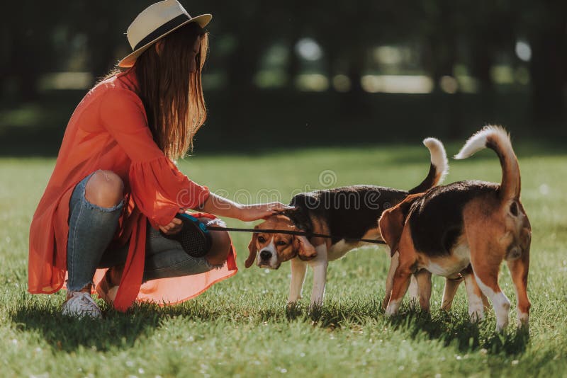 Het vrolijke meisje zit met twee honden in park stock foto's Het vrolijke meisje zit met twee honden in park stock foto's