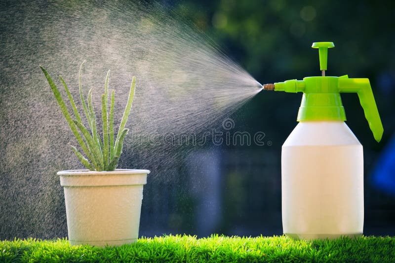 Het water van de waternevel aan rode uiinstallatie met mooie onduidelijk beeldbackgru stock afbeelding Het water van de waternevel aan rode uiinstallatie met mooie onduidelijk beeldbackgru stock afbeelding