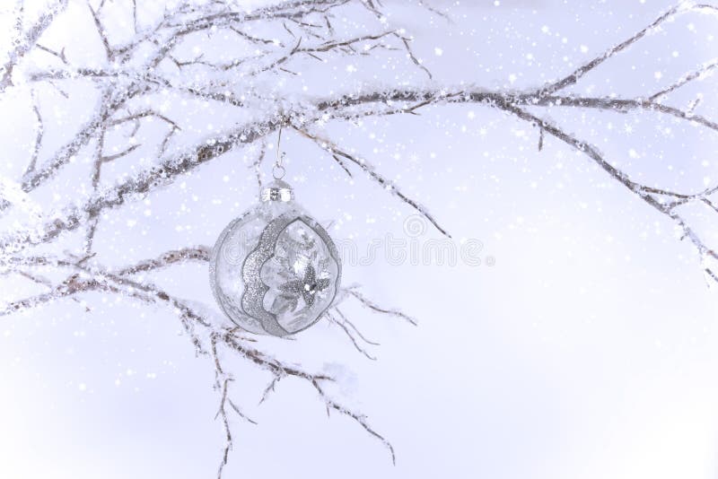Het zilveren & Duidelijke Ornament van Kerstmis op Tak stock afbeelding Het zilveren & Duidelijke Ornament van Kerstmis op Tak stock afbeelding
