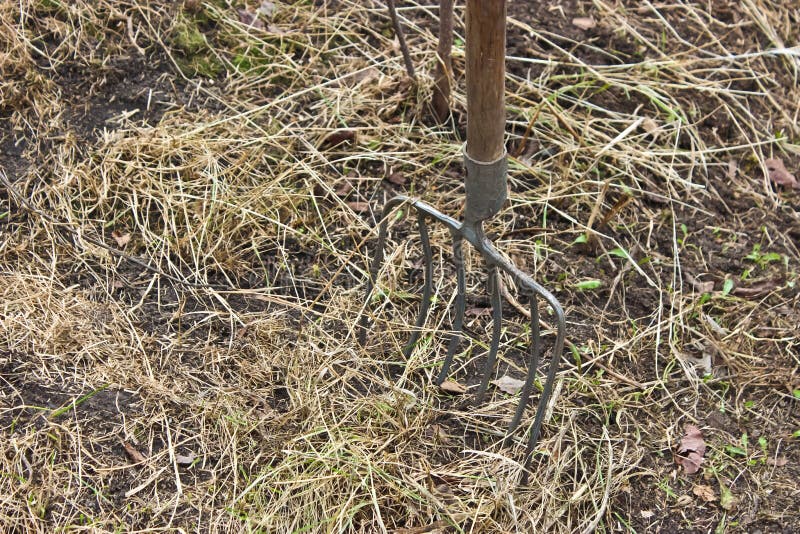 heugabel stockbilder heugabel stockbilder