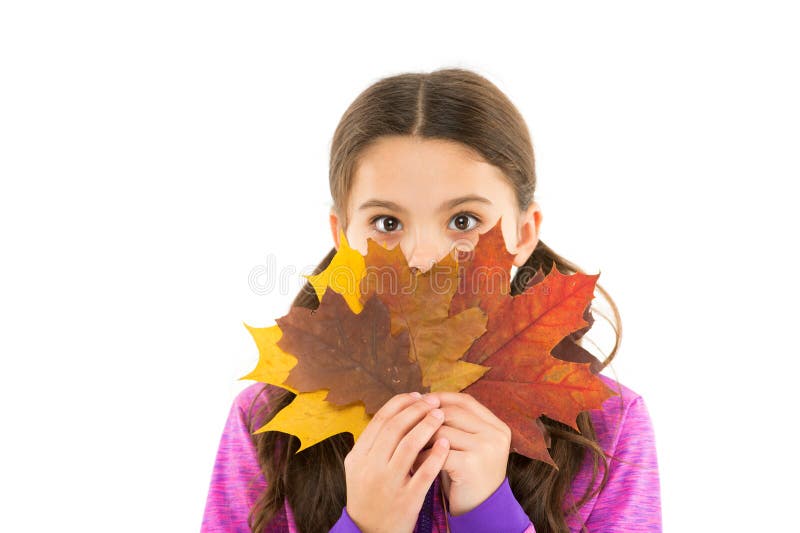 Heure d'automne Exploration de la flore Cette saison colorée Petite fille bienvenue à l'automne Petite fille, mignonne feuille de images libres de droits Heure d'automne Exploration de la flore Cette saison colorée Petite fille bienvenue à l'automne Petite fille, mignonne feuille de images libres de droits