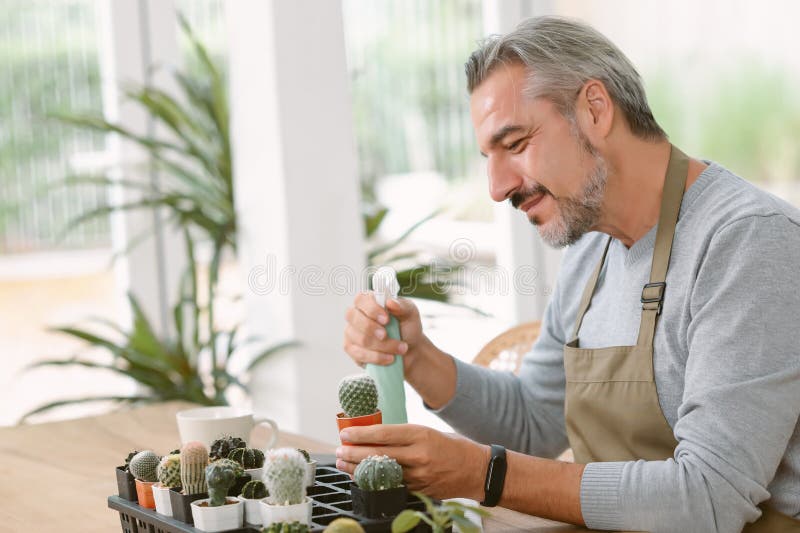 Happy relaxed Middle aged Caucasian man taking care and watering houseplants with cactus mister spray at home. Hobby of plant, gardener's life hack, jungle or houseplant interior indoor. Happy relaxed Middle aged Caucasian man taking care and watering houseplants with cactus mister spray at home. Hobby of plant, gardener's life hack, jungle or houseplant interior indoor