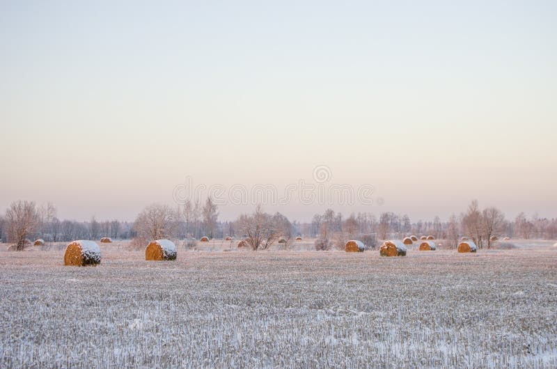 Heuschober auf dem gefrorenen Feld stockbild Heuschober auf dem gefrorenen Feld stockbild