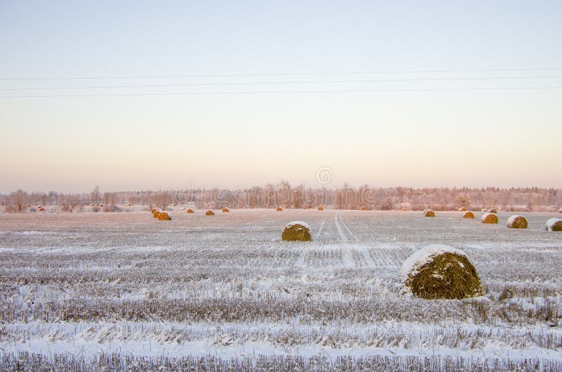 Heuschober auf dem gefrorenen Feld lizenzfreies stockbild Heuschober auf dem gefrorenen Feld lizenzfreies stockbild