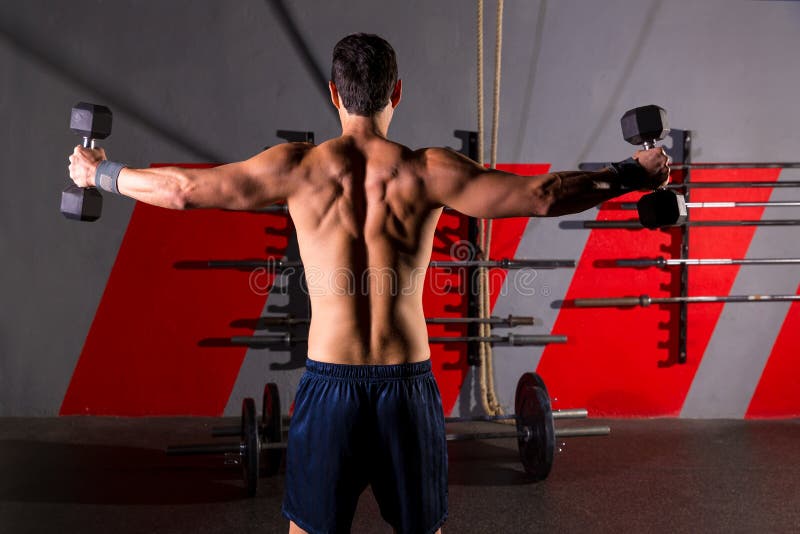 Hex dumbbells obsługują treningu tylni widok przy gym obraz stock Hex dumbbells obsługują treningu tylni widok przy gym obraz stock