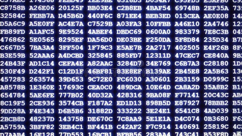Blue hex code of computer program on display with selective focus, programming, hacking, developer or computer source code concept. Computer binary program code video