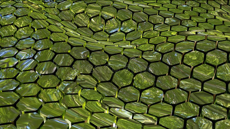 hexagon nature hexagon nature