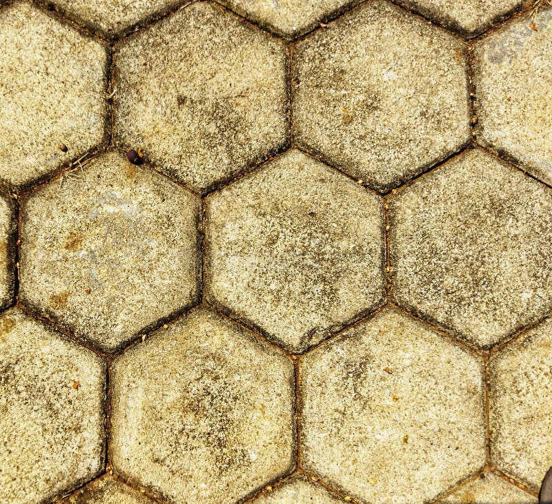 Hexagon paving blocks neatly arranged in the garden stock image