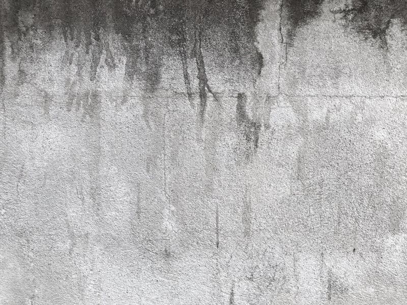 Hi Res Grunge Panoramic Cement Wall Background and Texture Stock Photo ...