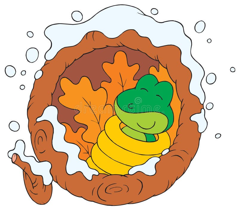 frogs hibernate frogs hibernate