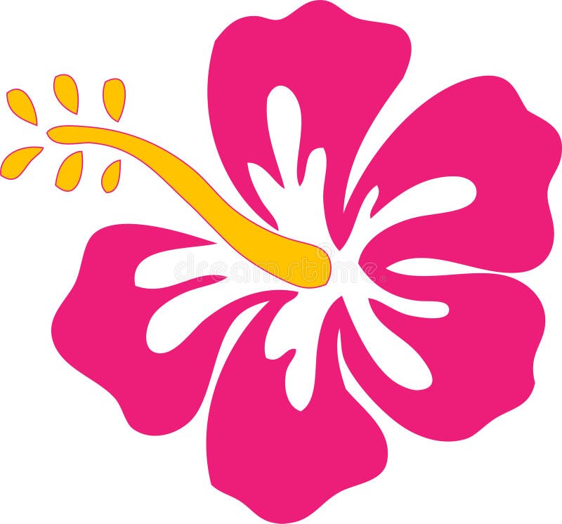 Hibiscus-Blume