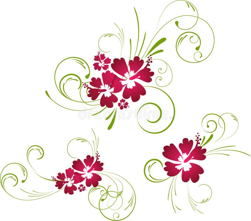 Hibiscus floral elements