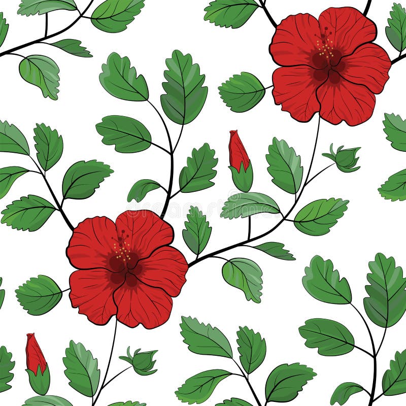 Hibiscus florale naadloos patroon vector illustratie Hibiscus florale naadloos patroon vector illustratie