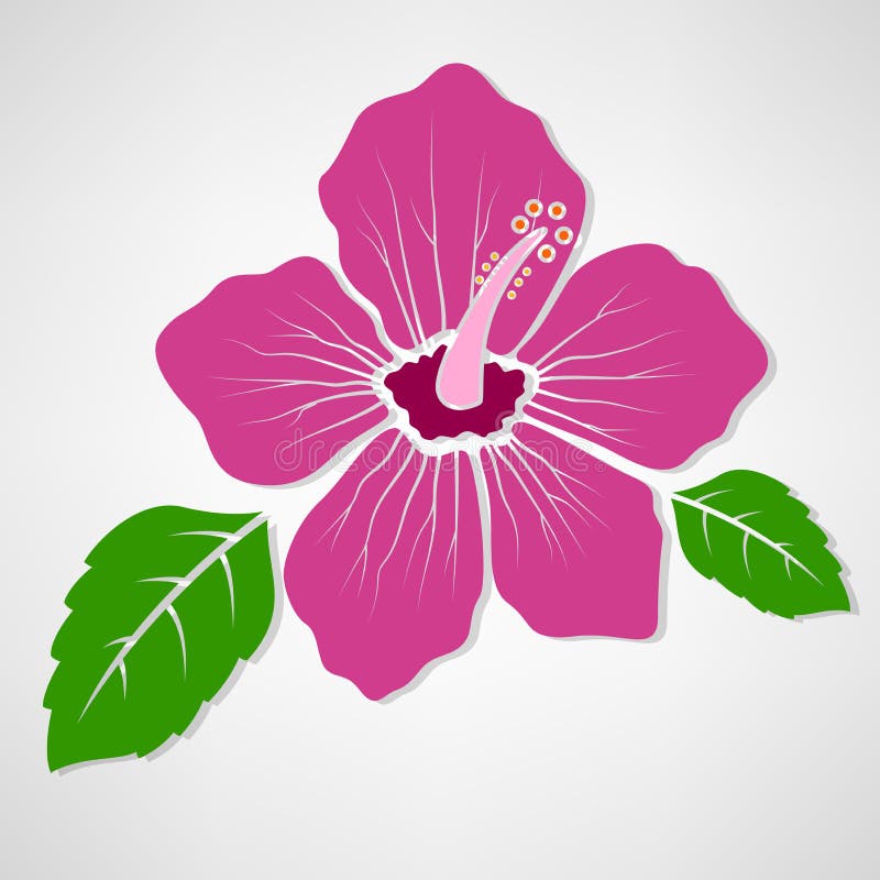Hawaiian Hibiscus Flower Symbol Design Stock Vector - Illustration of ...