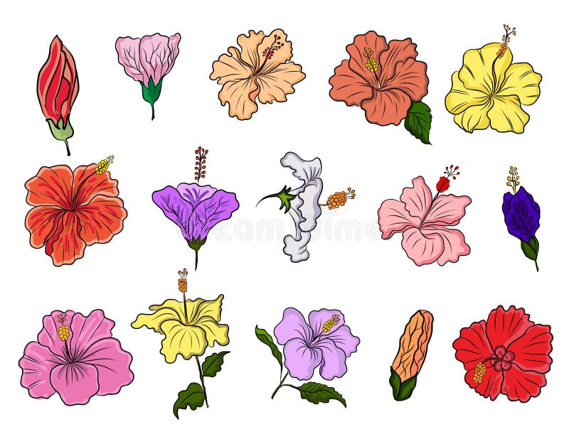 Hawaiian Flower Tattoos  Engrossing Designs 2021  Tattoo Shoo