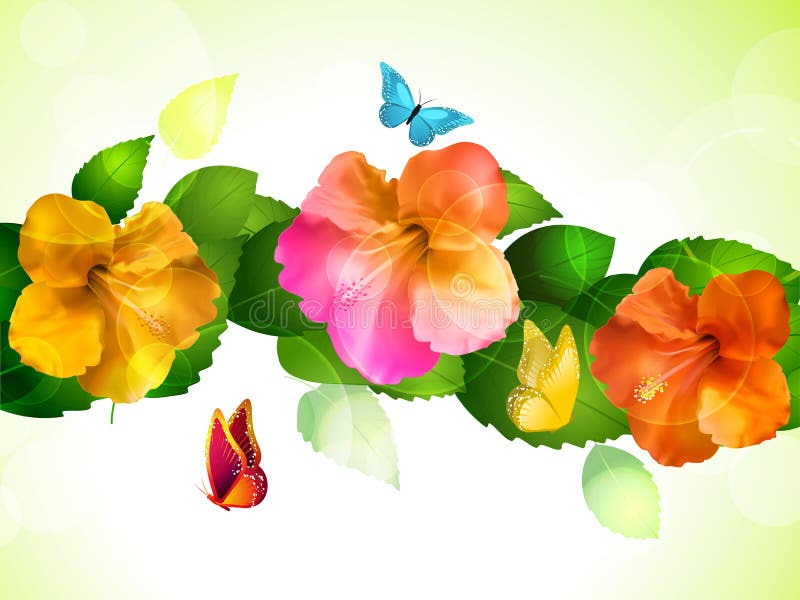 Hibiscus Flowers and Butterflies Stock Vector Illustration of leaf