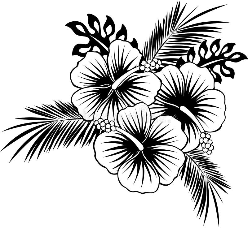 Hibiscus Flowers with Leaves in Black and White Stock Vector