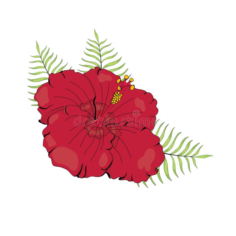 Hibiscus Red Flower Hawaii Leaf Stock Illustration - Illustration of ...