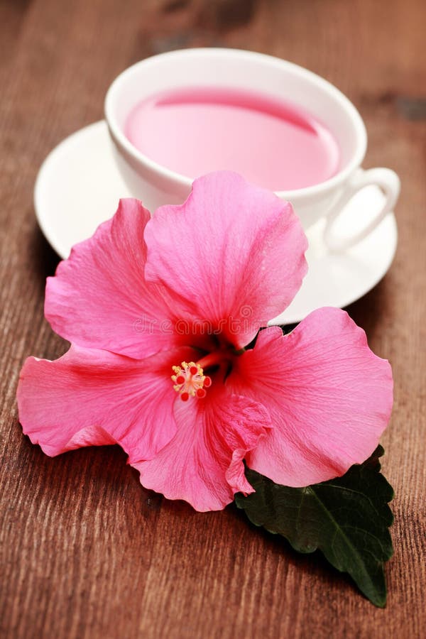 Hibiscus tea stock photo. Image of alternative, beverages 5356010