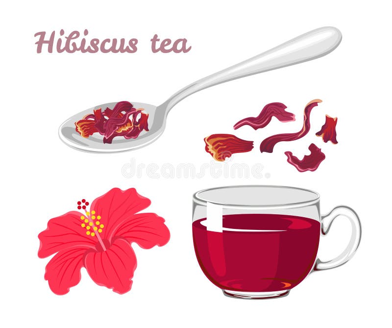 Hibiscus teuppsättning. röda blomtorkade blad i sked glaskopp med dryck vektor illustrationer