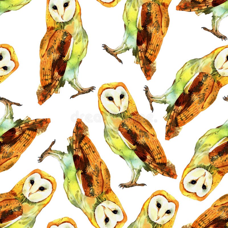 Hibou de grange d'aquarelle illustration libre de droits Hibou de grange d'aquarelle illustration libre de droits